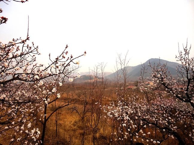 遵化鲁家峪 鲁家峪位于遵化西南,东,西,北三面环山,是丰玉遵三县交界