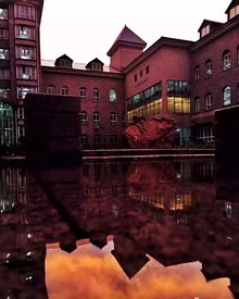 辽宁大学外国语学院