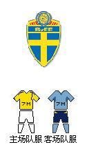 瑞典国家足球队