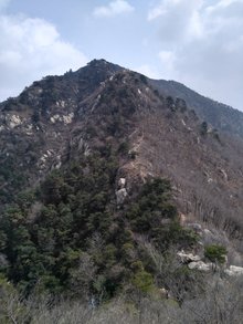 麦黄山