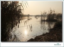 安徽泗县石龙湖湿地风景区