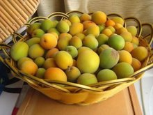 纯天然无添加梅子酱