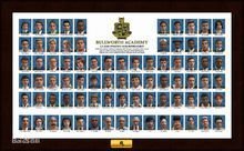 恶霸鲁尼:奖学金版