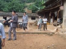 平田二队自然村隶属于云南省红河州泸西县三塘乡俱久行政村,属于