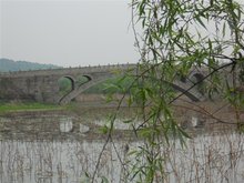 马鞍山森林公园蕾丝情趣内衣紫黑色图片