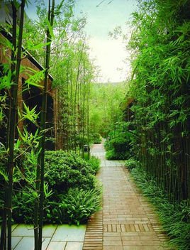 务院办公厅关于同意中国-新加坡天津生态城建