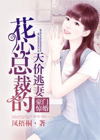 豪门惊婚:花心总裁的天价逃妻