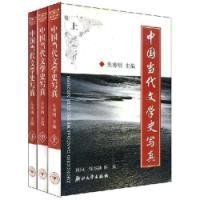 中国当代文学史写真