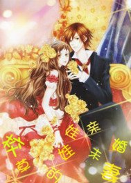 校草的娃娃亲未婚妻