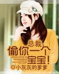 总裁,偷你一个宝宝!