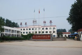 哈希游戏- 哈希游戏平台- 哈希游戏官方网站星泰轴承市场业绩节节攀升2020年实现营收1082亿元