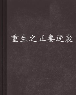 重生之正妻逆袭