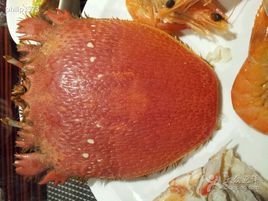 深圳龙岗珠江皇冠假日酒店咖啡厅