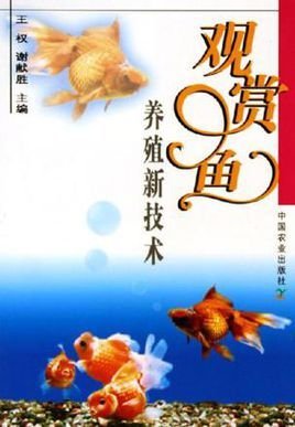观赏鱼养殖新技术