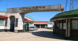 蔬菜种子批发市场