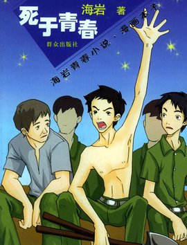 海岩青春小说,漫画本子