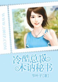 冷酷总裁木讷秘书