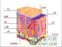 掌跖角化症的原因是什么?