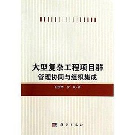 大型复杂工程项目群管理协同与组织集成