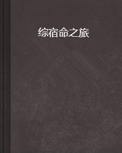 综宿命之旅