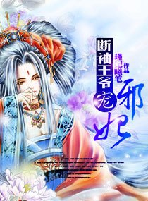 断袖王爷宠邪妃