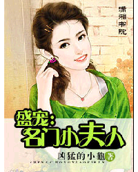 盛宠:名门小夫人