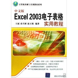 中文版Excel 2003电子表格实用教程