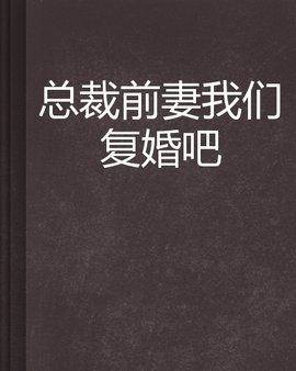 总裁前妻我们复婚吧