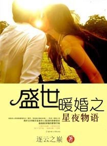 盛世暖婚之星夜物语