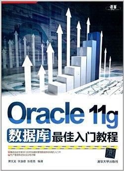 Oracle11g数据库最佳入门教程