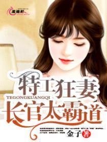 特工狂妻:长官太霸道