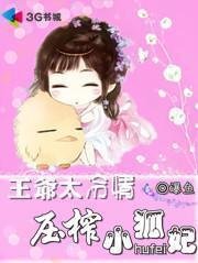 王爷太冷情,压榨小狐妃