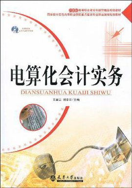 电算化会计实务