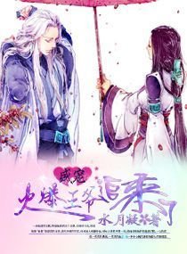 火爆王爷的顽皮王妃