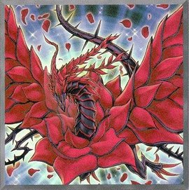 黑玫瑰龙_360百科