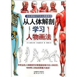 从人体解剖学习人物画法
