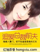追爱总裁前夫