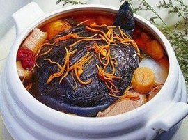 沙参冬虫夏草炖龟肉