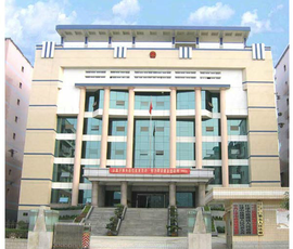 重庆市人民政府关于进行对部分个人住房征收房