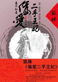 妻不如妾:偏爱二手王妃