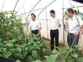 铜陵市人力资源和社会保障局