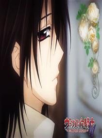 吸血鬼骑士之荆棘之恋