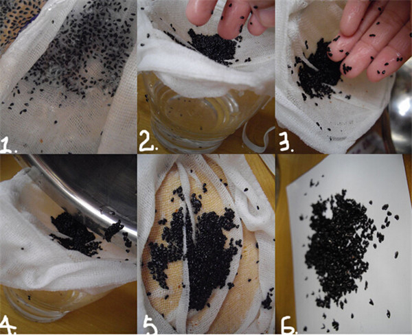 种植火龙果,怎么把火龙果的籽挑出来_360问答