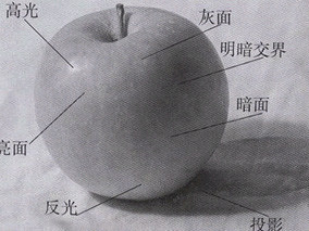 想学习写实素描人像,不知道应该从哪些最基础