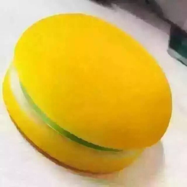 朋友圈看图猜物请问这个像汉堡的是什么_360