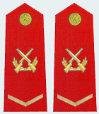 武警二级士官是什么职务?_360问答