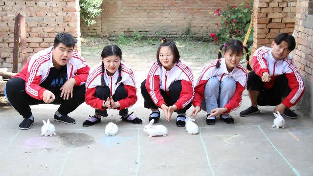 兔宝宝5:见过兔宝宝赛跑吗?萌萌的小短腿跑起来,真可爱