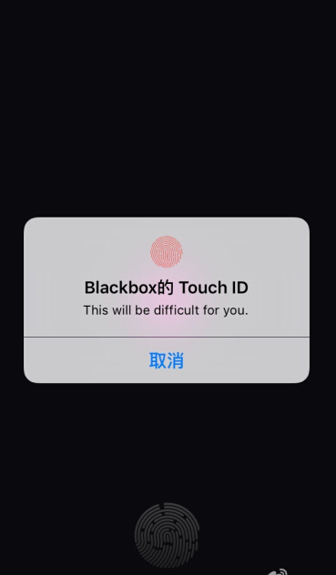 blackbox二维码图片